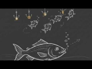 Your Sales Net Is Broken.